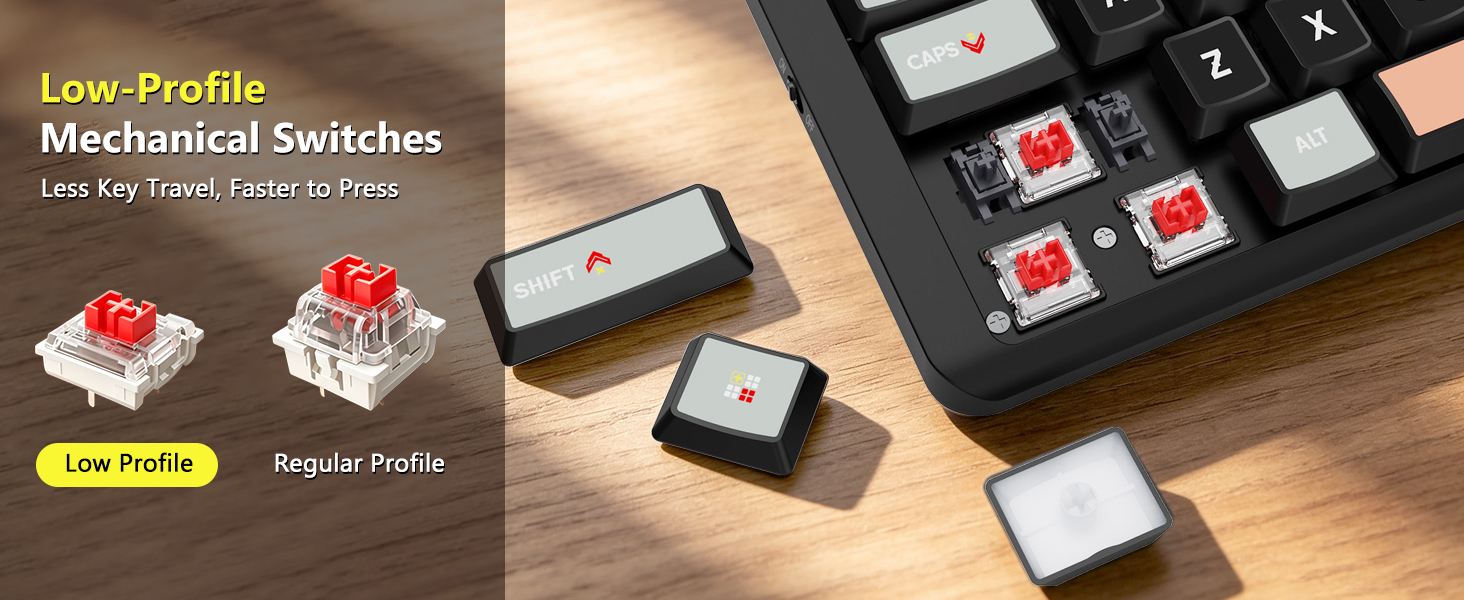 Low profile Mechanical Switches