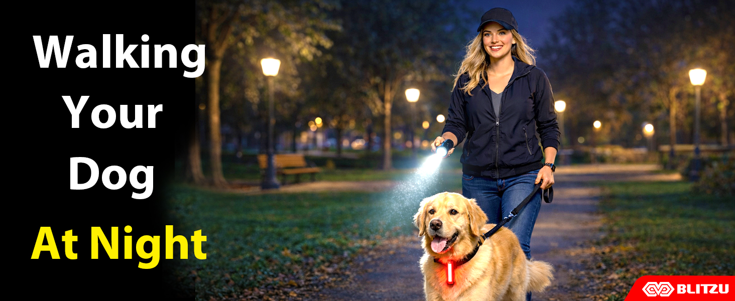 luces para bicicleta bike lights bycicles mountain bicycles reflector cycle mtb taillight lumens