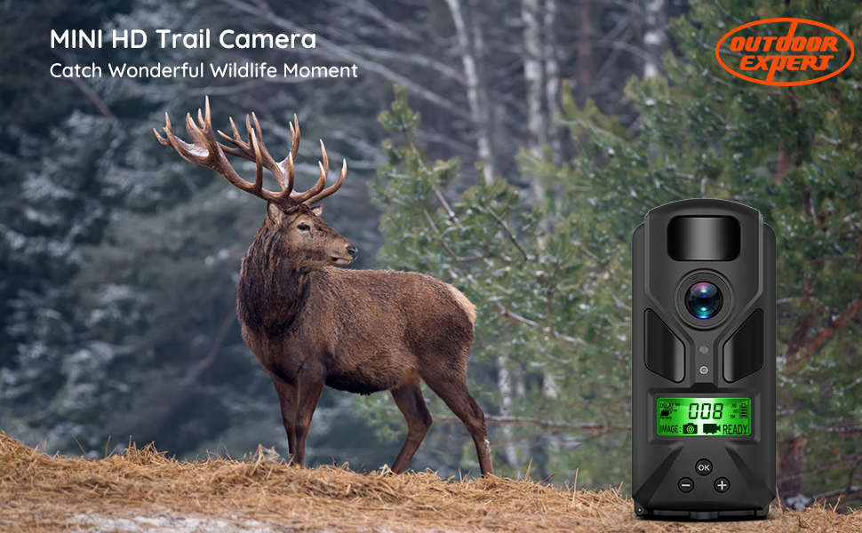 Trail Camera