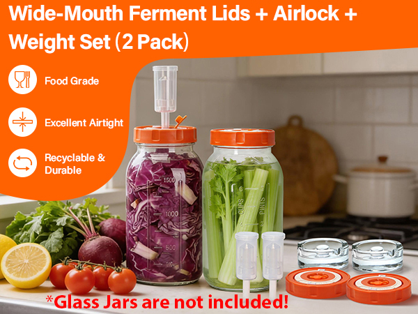 fermentation lid