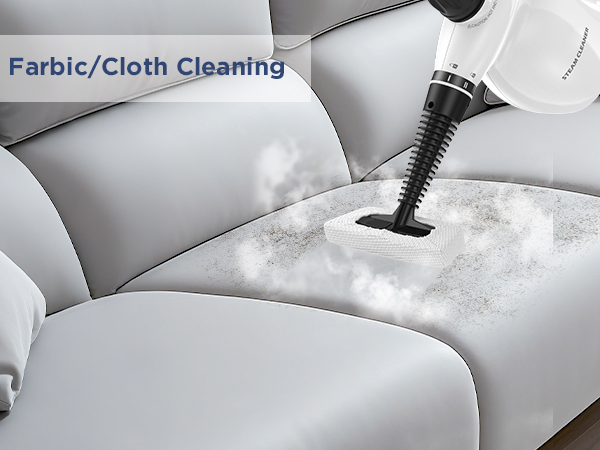 steam cleaner labigo