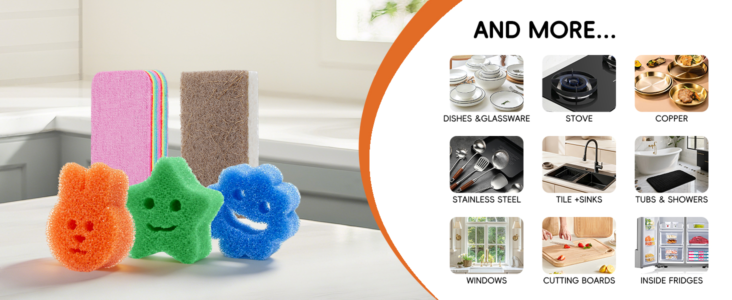Kitchen Sponges