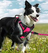 dog harness with handle no pull harness for large dogs ruffwear leather backpacks german shepherd