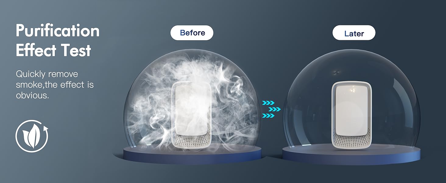 Purification Effect Test