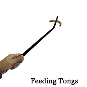 Feeding Tong