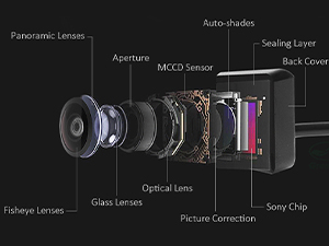 Dynamic Trajectory Backup Camera