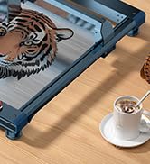 Laser Engraver