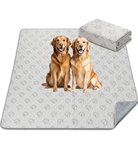 https://m.media-amazon.com/images/S/aplus-media-library-service-media/a05781de-85c4-4bdd-86f6-a870b3967b03.__CR29,0,462,520_PT0_SX200_V1___.jpeg