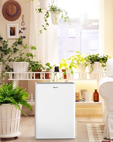 Air Purifier