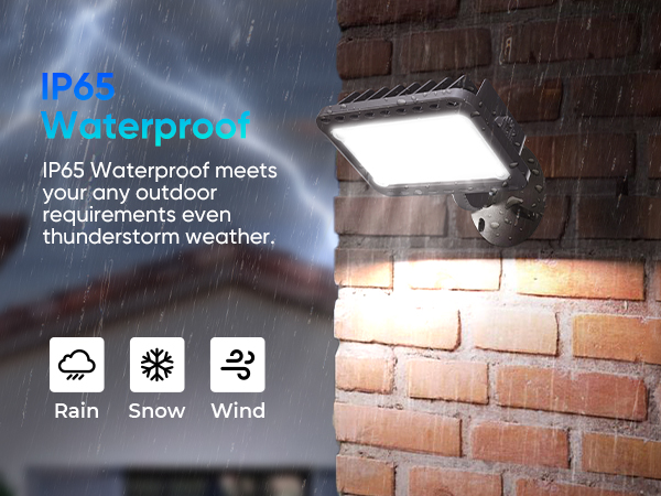 IP65 Waterproof