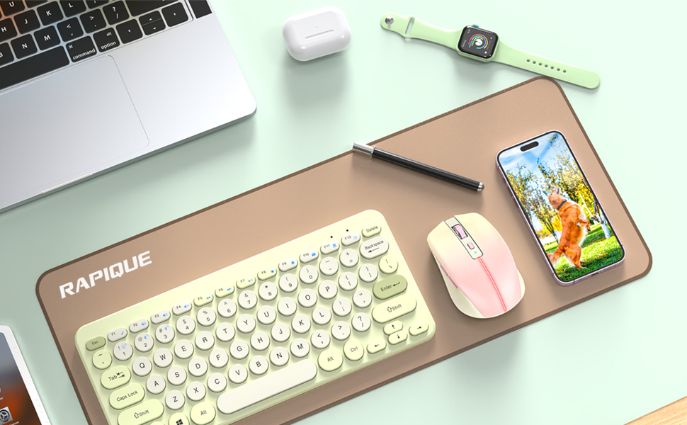 RAPIQUE R110 PinK Bluetooth Mouse ???