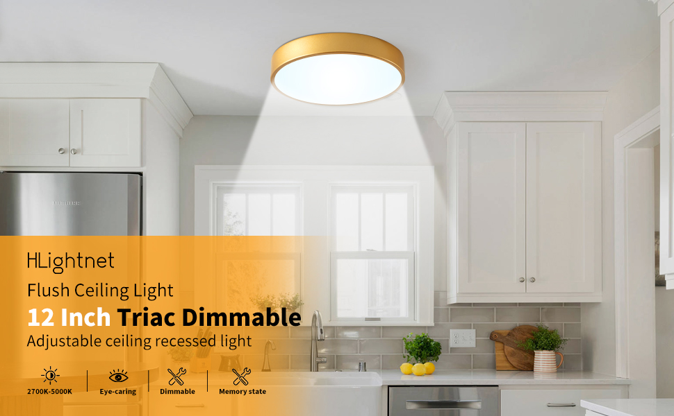 LED 12 Inch Round Flush Mount Light Fixture