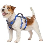 Huntboo Reflective Dog Harness with Handle, Escape Proof, No Slip, Breathable, Lightweight, Adjus...