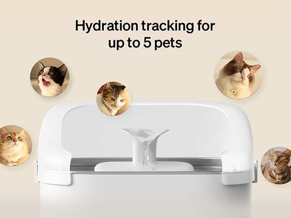 Multi Cats Water Fountain
