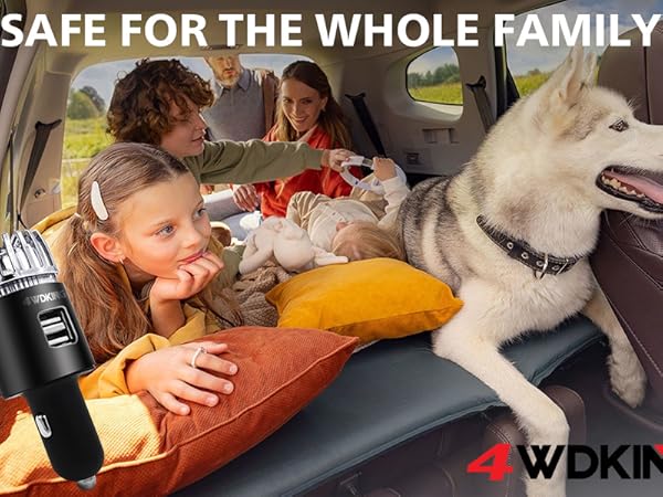 Ionic Ozone Car Deodorizer