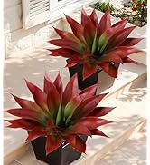Ivydale Fake Plants 18 Inch Agave Artificial Plants Outdoor 2 PCS for Outside Decoration, Faux Gr...