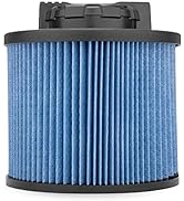 DeWalt DXVC4002 High Efficiency Cartridge Filter, Fit for 4 Gallon Wet/Dry Vacuum Cleaners, Compa...