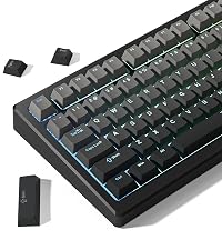 Womier PBT Pudding Keycaps- Shine Through Keycaps | 164 Keys Keycap Set 60 65 75 100 Percent, OEM Pr...