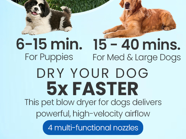 professional dog dryer