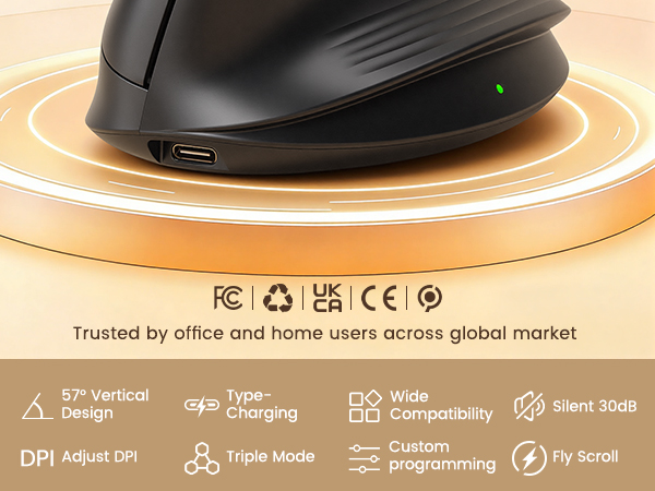 mouse