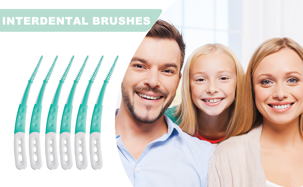 dental brush picks