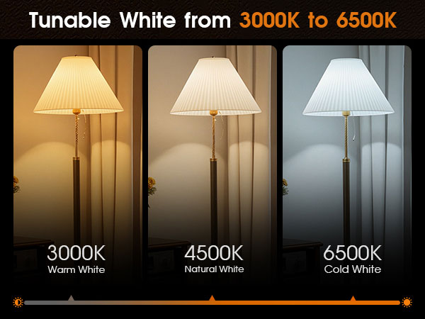 Adjustable color temperature LED lamp (3000K–6500K).