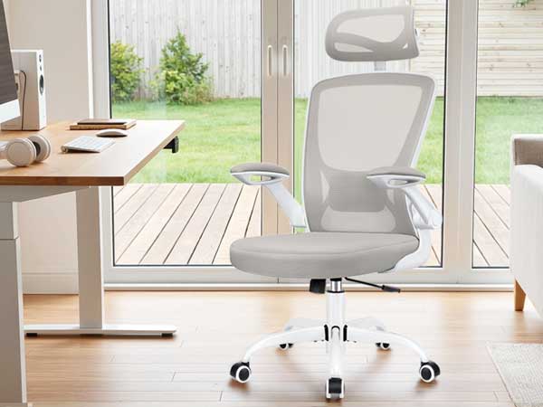 Computer Desk Chair Comfy for Home