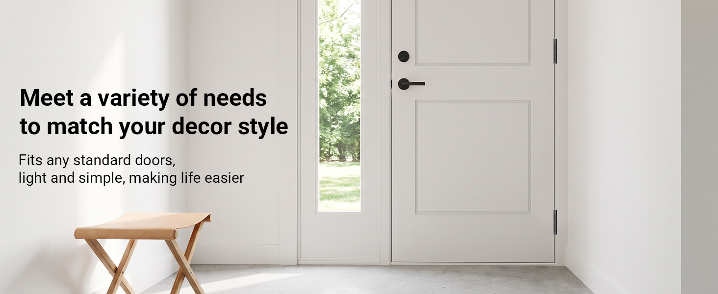 black interior door hinges