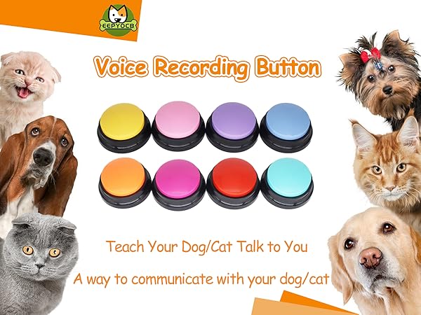 voice recording button