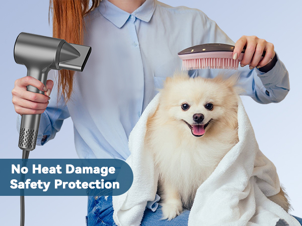 hair dryer for pet