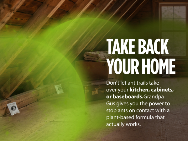 Keep your home mouse-free