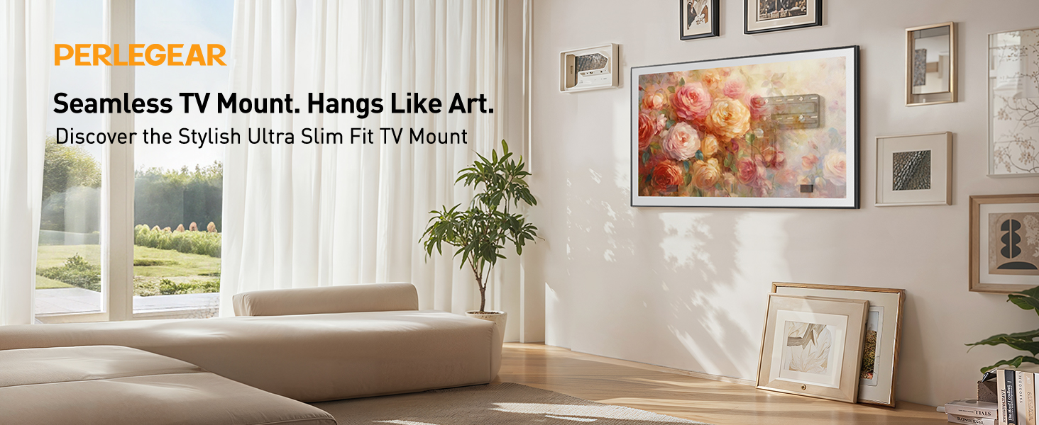 slim tv mount