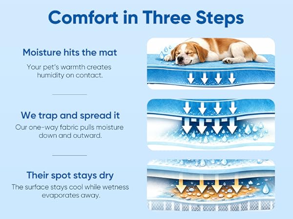 Rywell Super-Absorbent Cooling Mat for Dogs