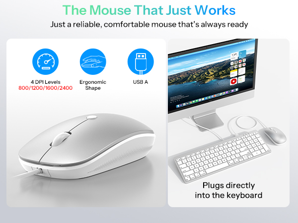 MacBook Keyboard and Mouse