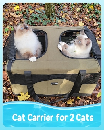 Text reads "Cat Carrier for 2 Cats". Two white and brown cats visible in mesh-sided carrier with tan fabric base and black carrying handles, demonstrating dual-pet transport capacity.