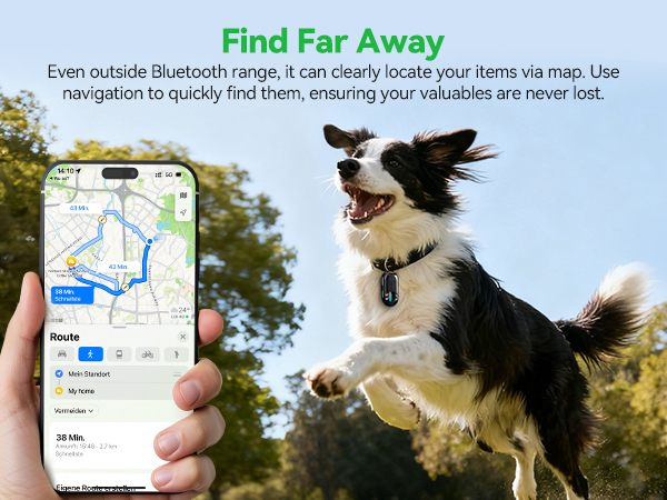 A dog wearing the tracker runs in a park while a phone screen shows the map route to locate the pet