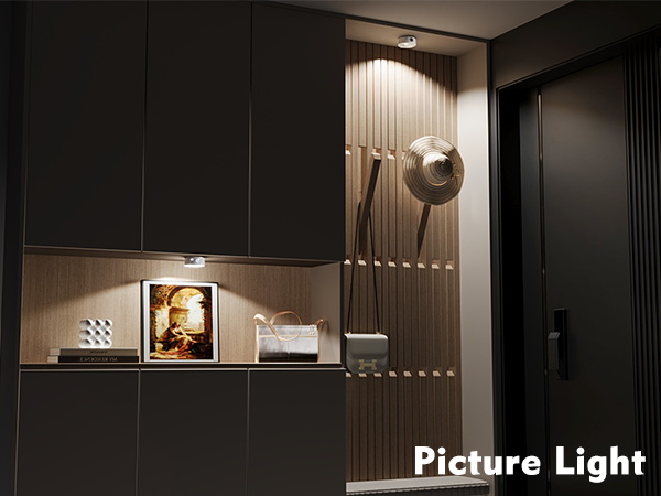 mini picture light