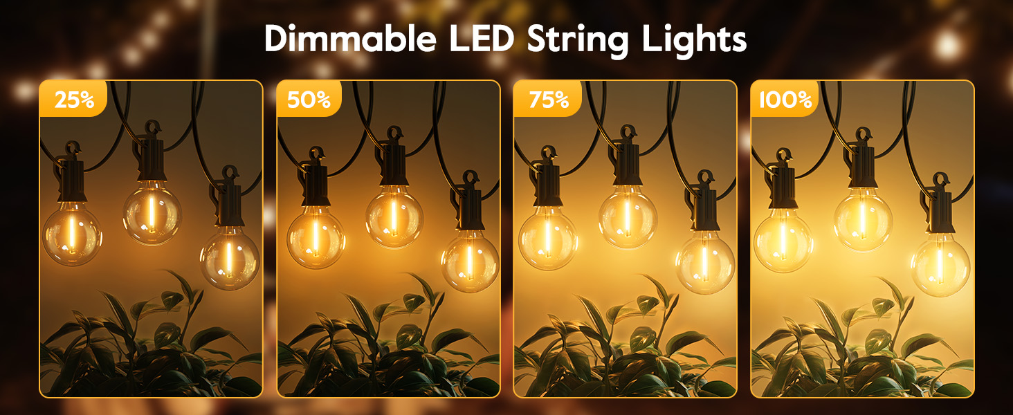 Outdoor String Lights