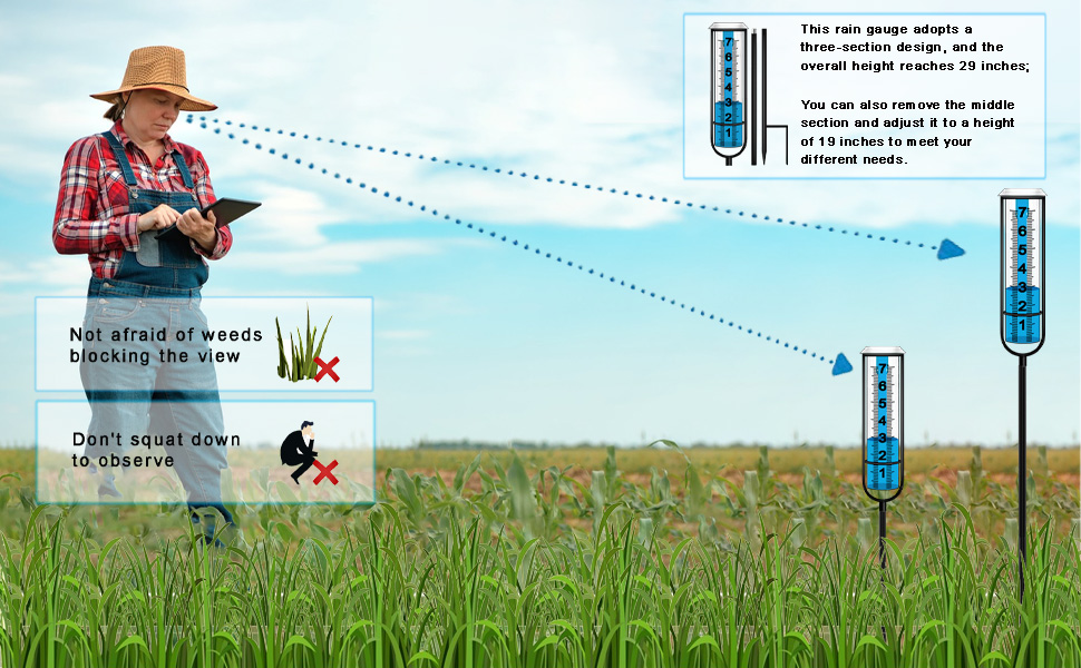 Three section Large Rain gauge