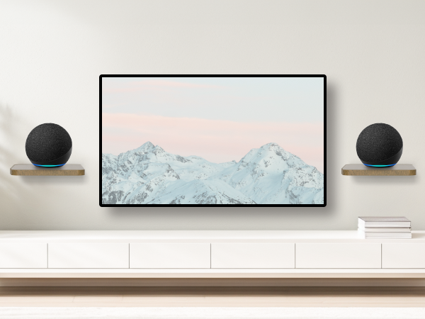 Speaker Wall Mount for Echo