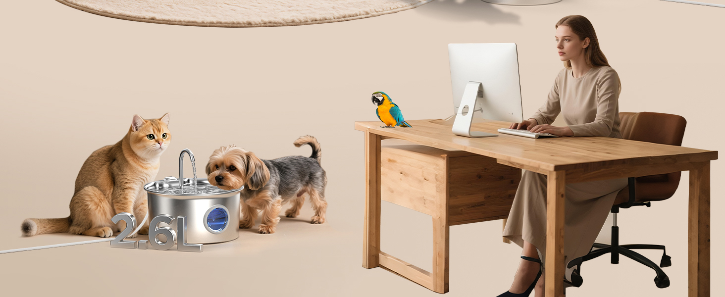 stainless steel cat water fountain cat fountains for drinking cat water fountain stainless steel