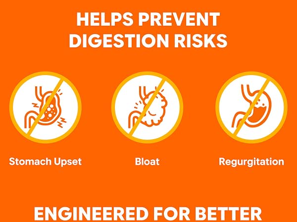 Prevent dog bloat stomach upset and regurgitation puzzle bowl