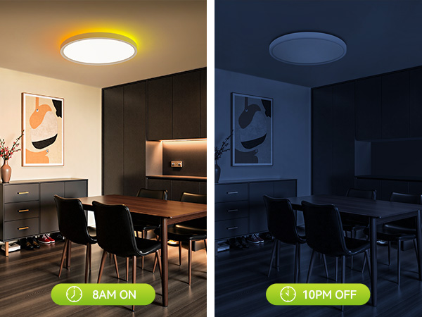 ceiling light fixture