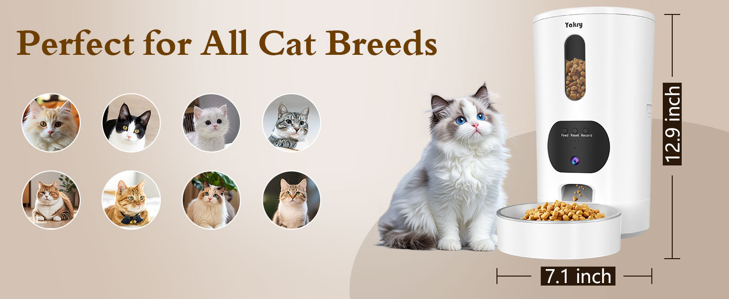 cat feeder with camera