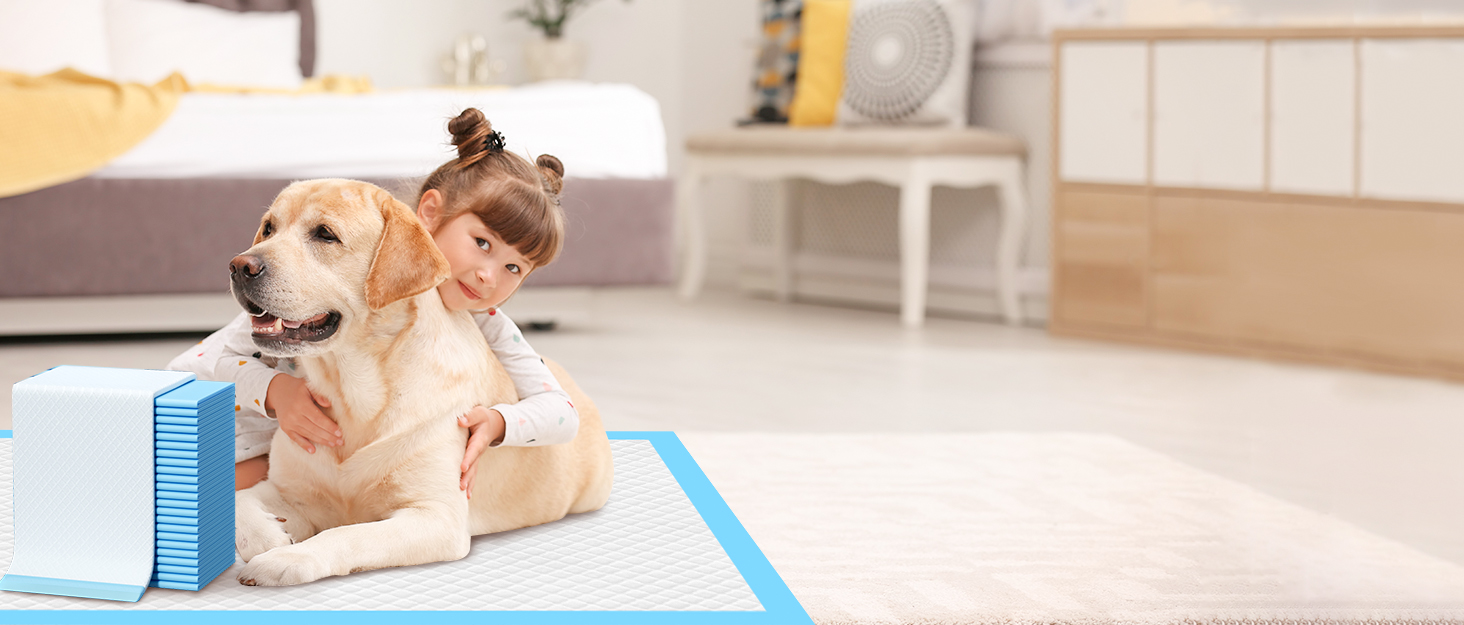 yopetki doggie pee pads