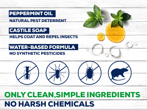 peppermint Insect Spray