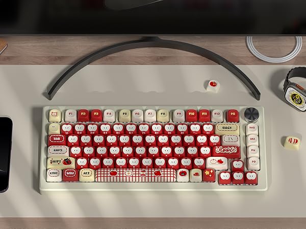 moa profile keycaps