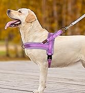 Didog Soft Flannel Padded Dog Vest Harness, No Pull/Quick Fit Reflective Dog Strap Harness, Easy ...
