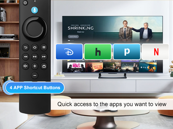 remote replacement control