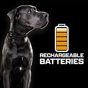 sportdog training collar - Rechargeable Batteries For Long Time